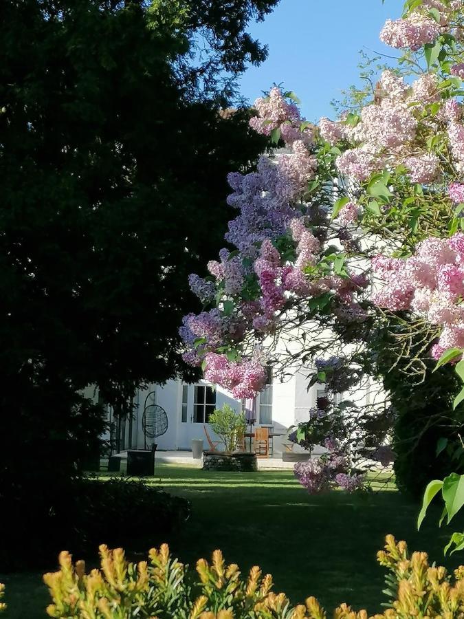 H De Surgeres Bed & Breakfast Exterior photo